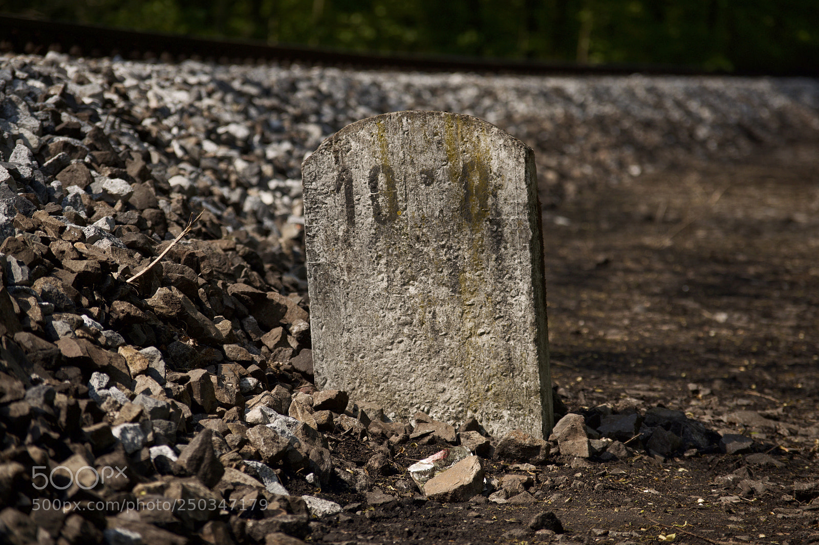 Nikon D3300 sample photo. Untitled photography