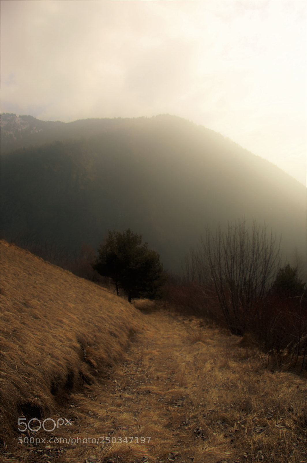 Nikon D3200 sample photo. Untitled photography