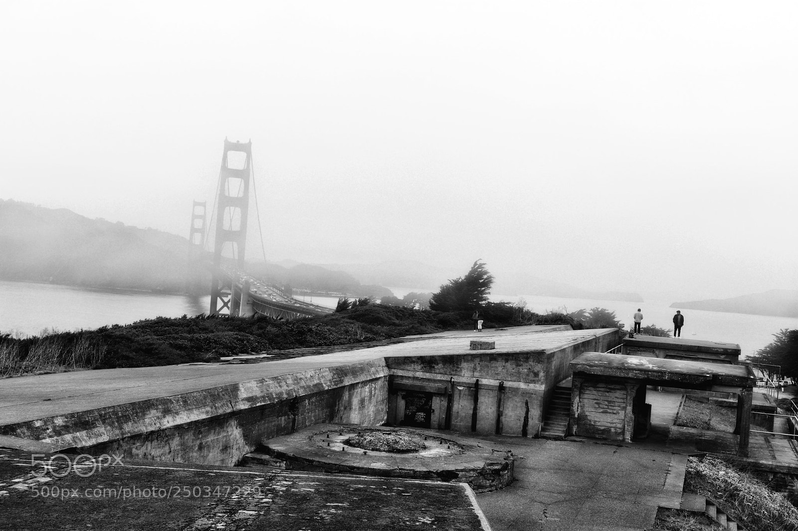 Nikon D3400 sample photo. Fog golden gate photography