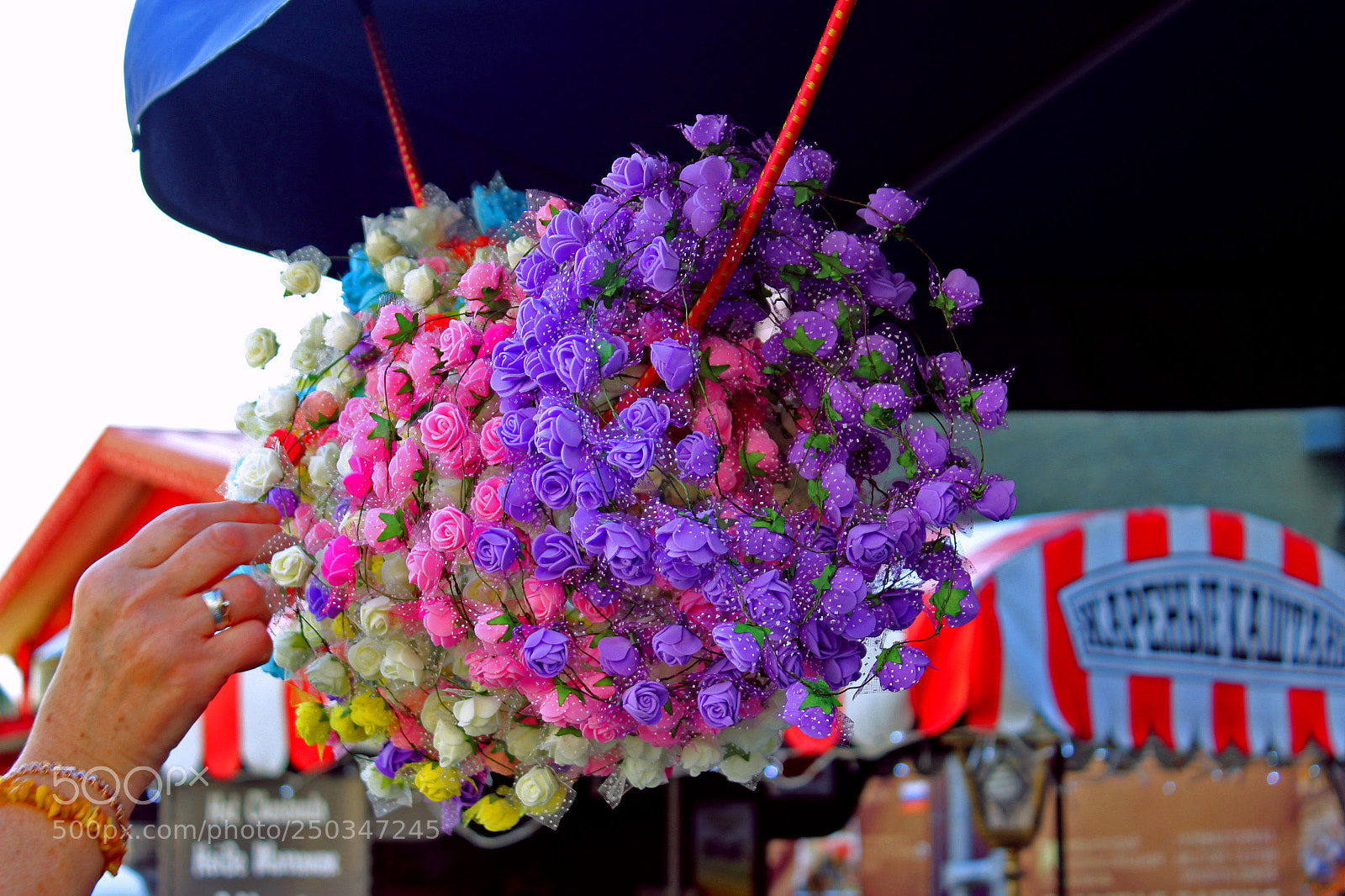 Canon EOS 600D (Rebel EOS T3i / EOS Kiss X5) sample photo. Flowers photography