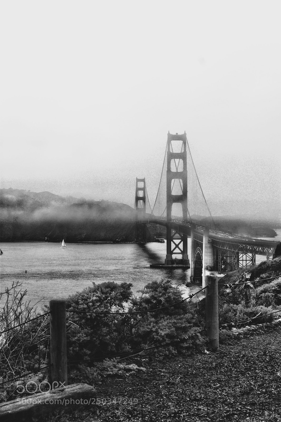 Nikon D3400 sample photo. Fog golden gate photography