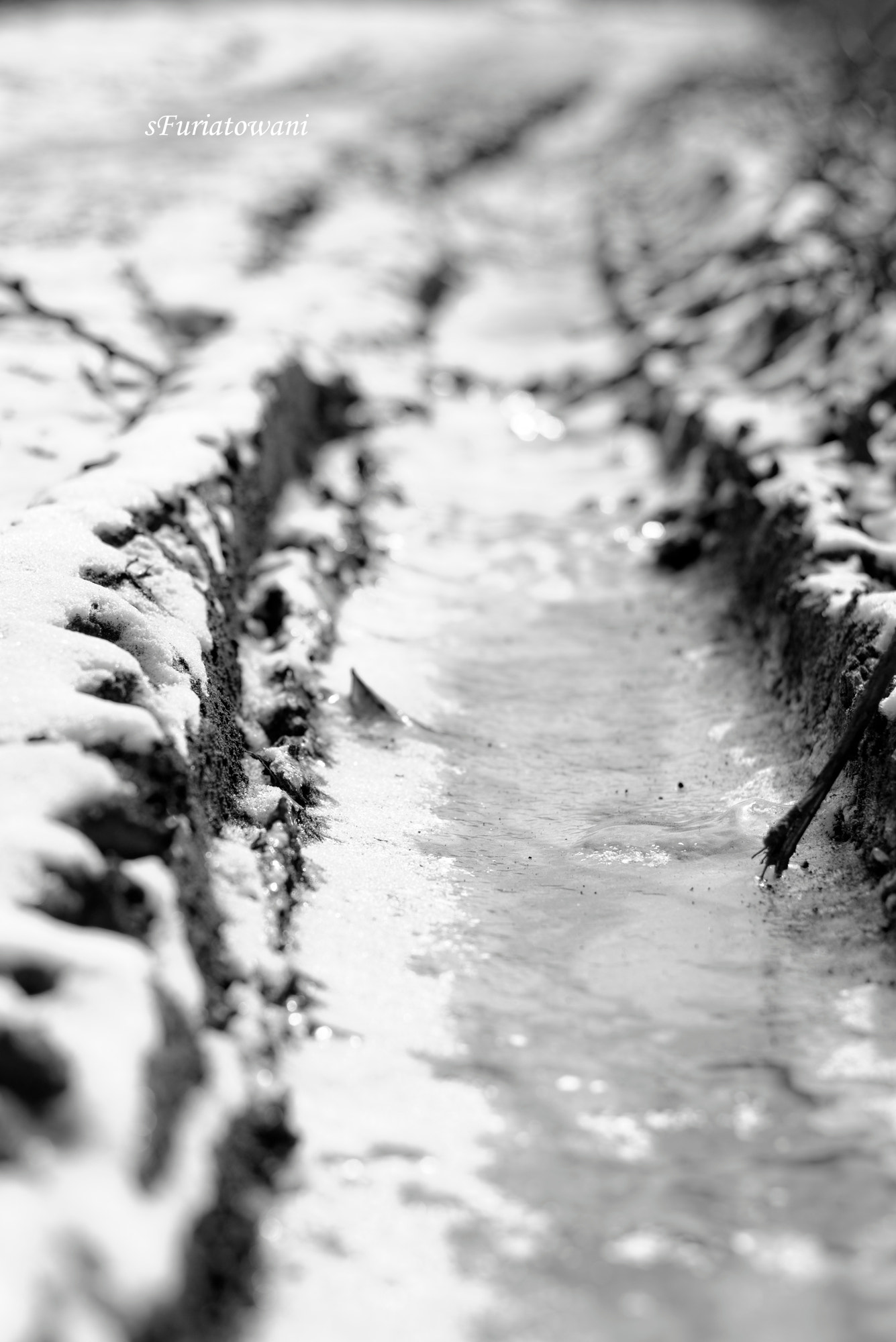 Nikon D5200 + Nikon AF-S Nikkor 50mm F1.8G sample photo. On the ground photography
