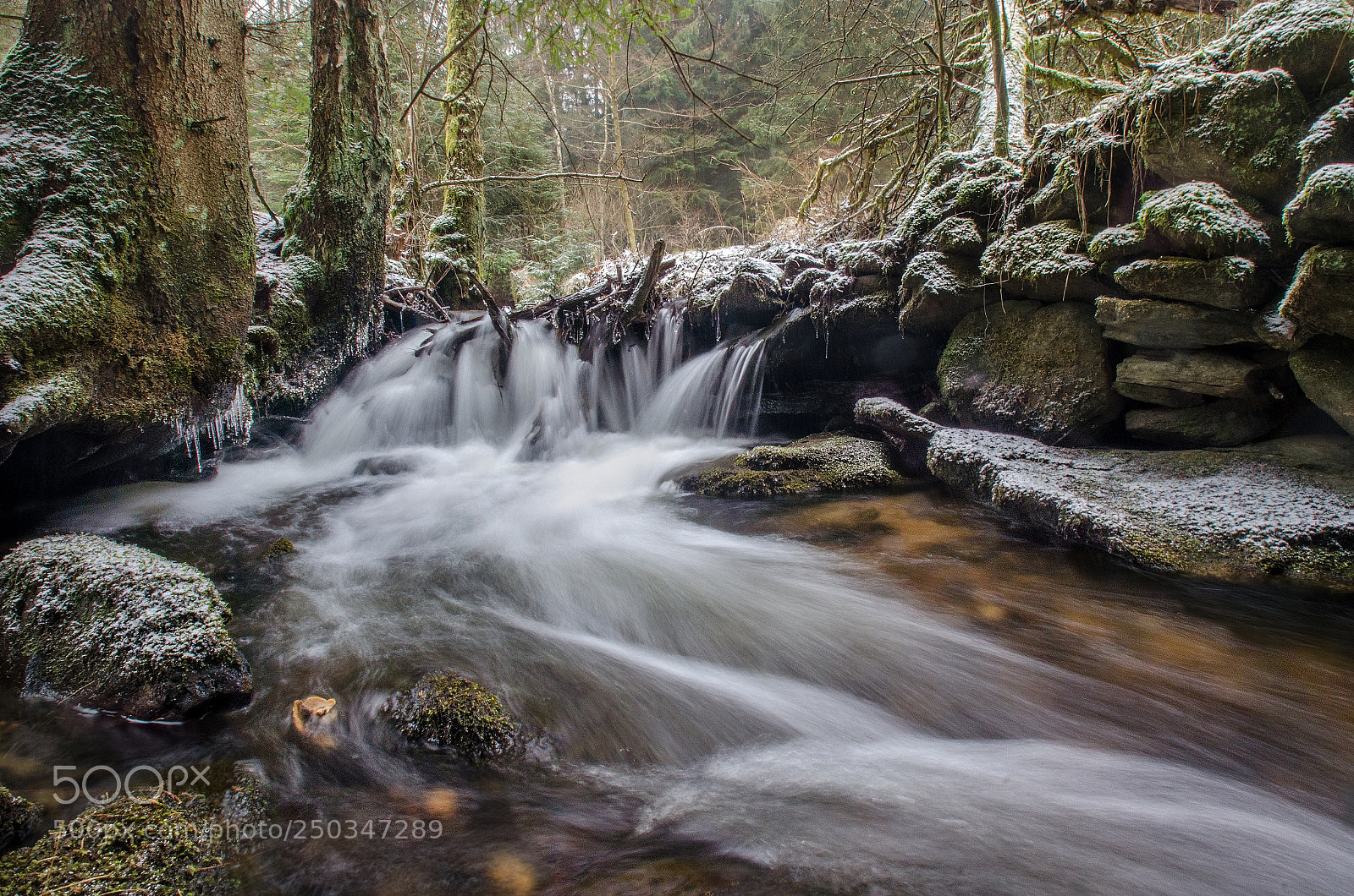Nikon D7000 sample photo. In the czech forest photography
