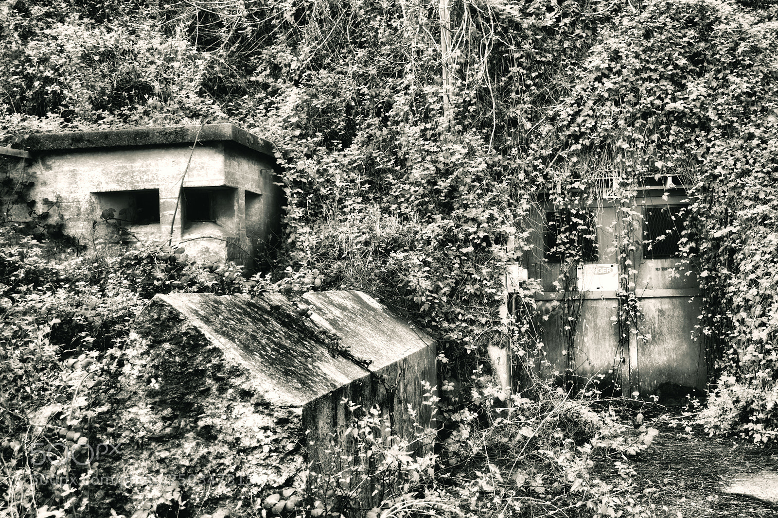 Nikon D3400 sample photo. Bunker photography