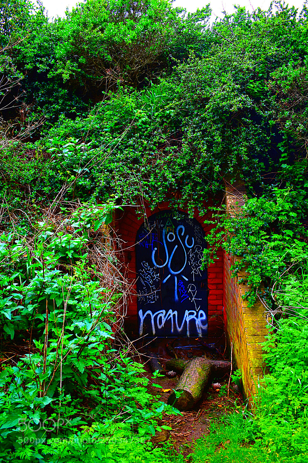 Nikon D3400 sample photo. Bunker entrance photography