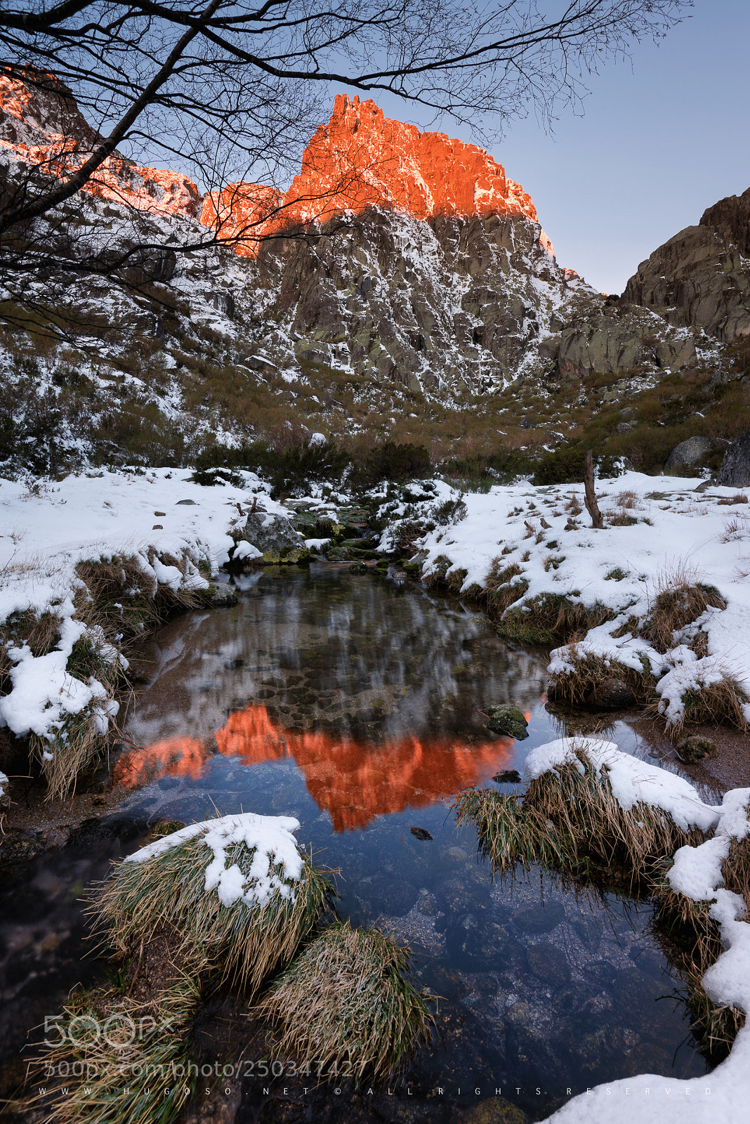 Nikon D810 sample photo. Winter time photography