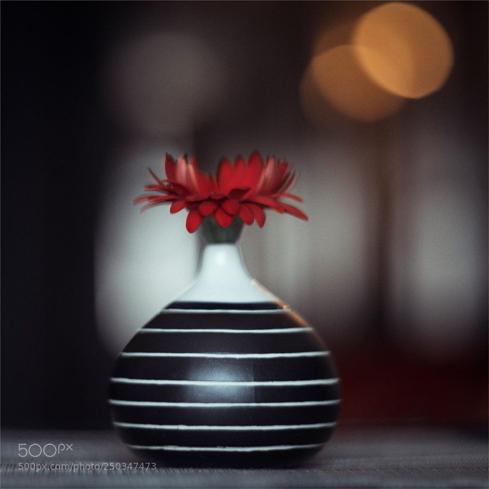 Canon EOS 5D Mark IV sample photo. *** photography