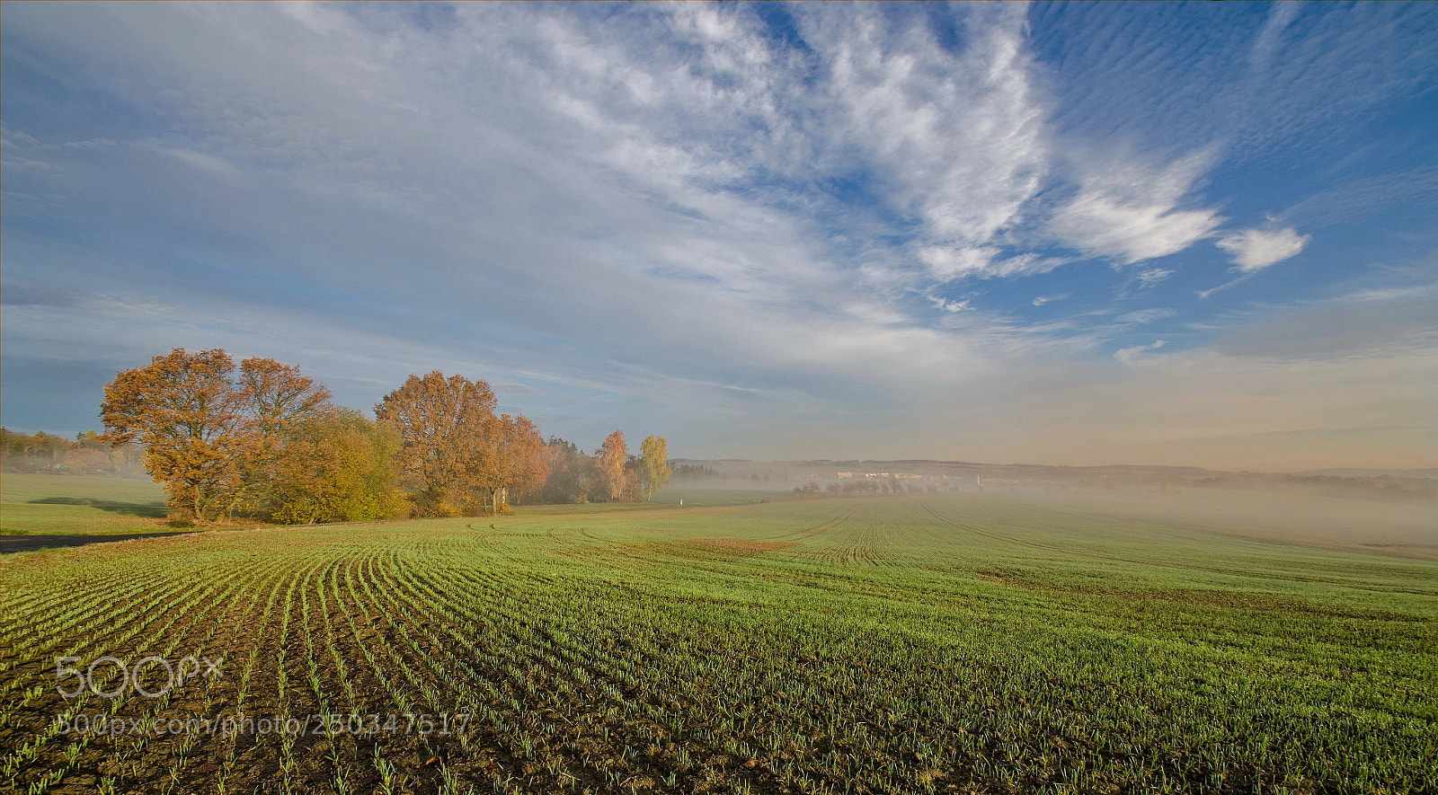 Nikon D7000 sample photo. Autumn morning photography