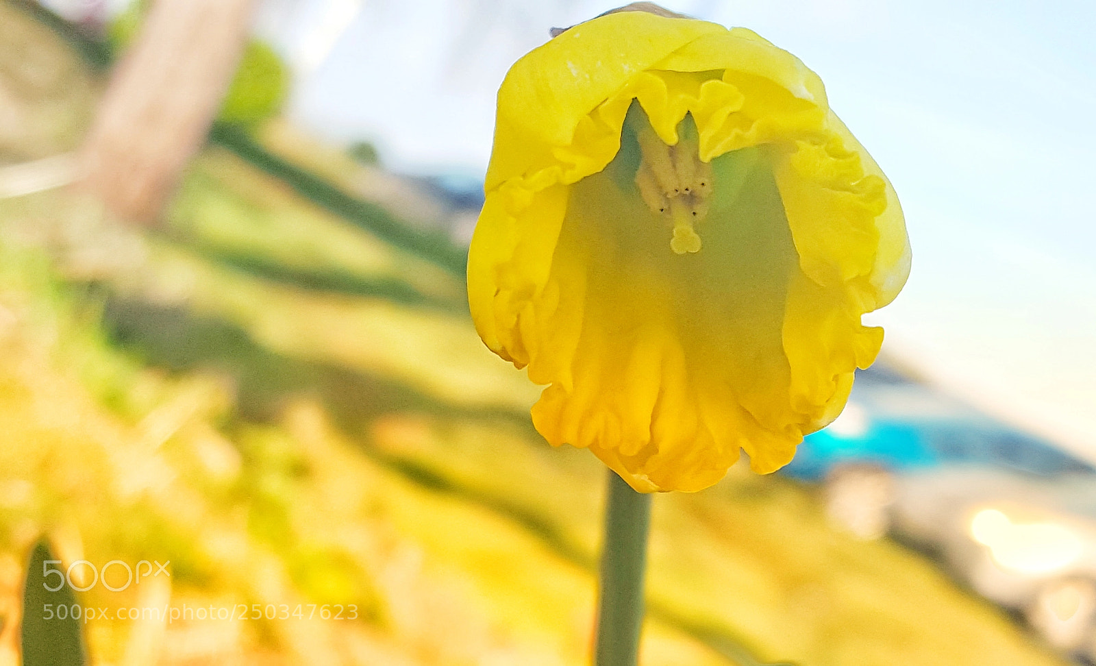 Samsung Galaxy S6 sample photo. Nearly there photography