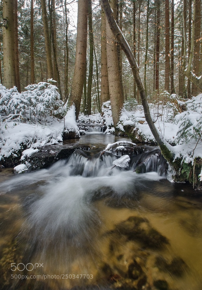 Nikon D7000 sample photo. Winter on the creek photography