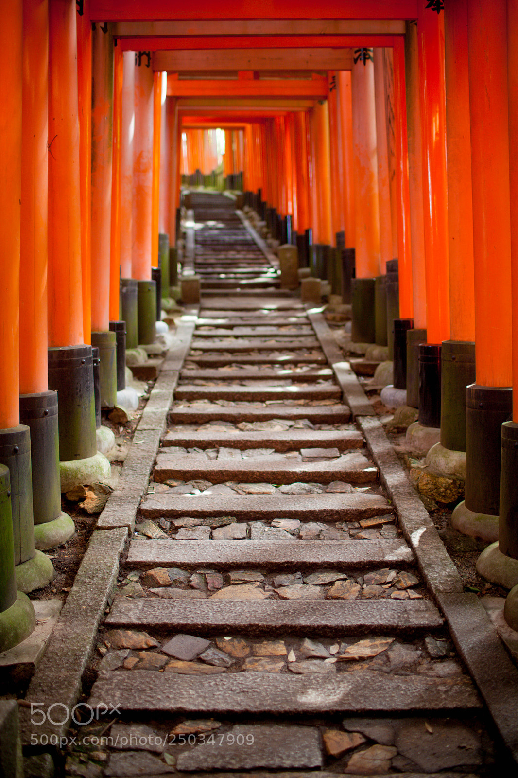 Canon EOS 5D Mark II sample photo. Fushimi inari shrine , kyoto photography
