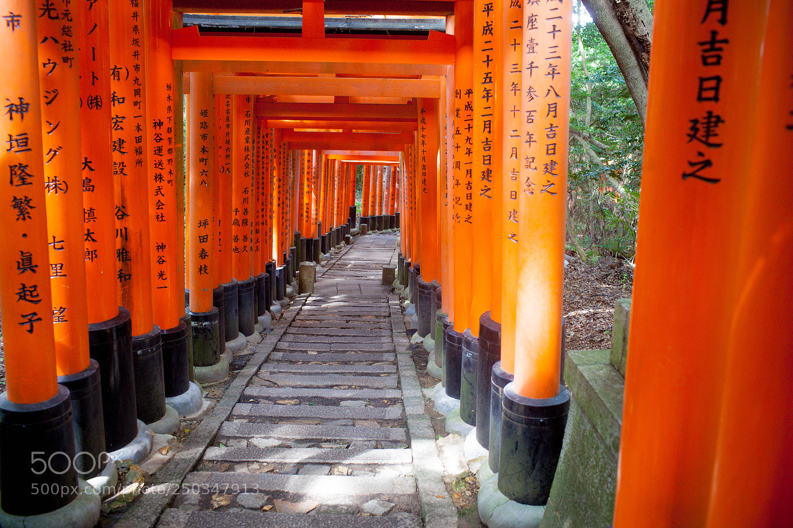 Canon EOS 5D Mark II sample photo. Fushimi inari shrine , kyoto photography