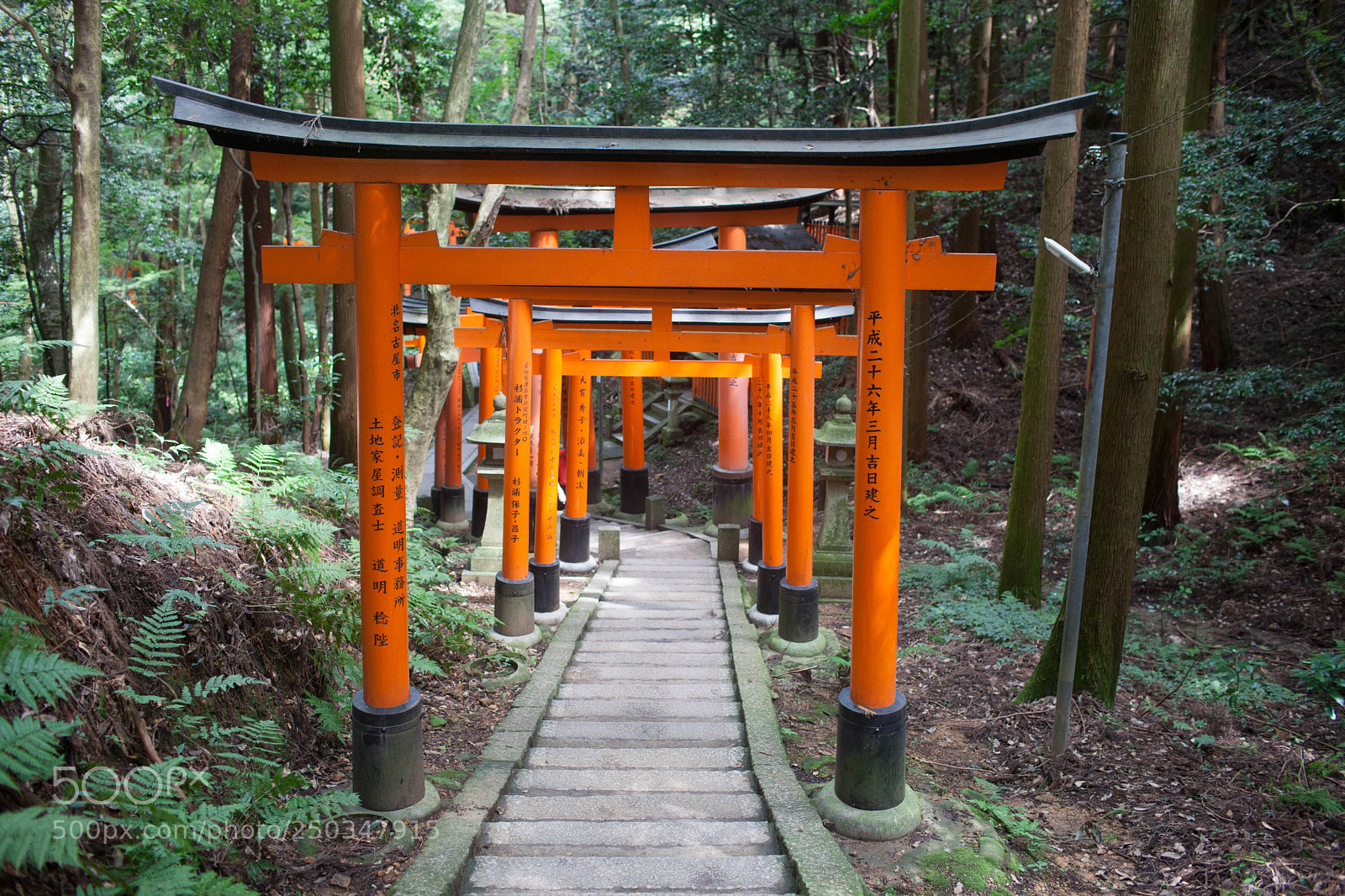 Canon EOS 5D Mark II sample photo. Fushimi inari shrine , kyoto photography