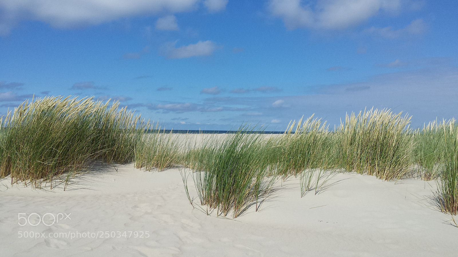Samsung Galaxy S4 sample photo. Strand () photography
