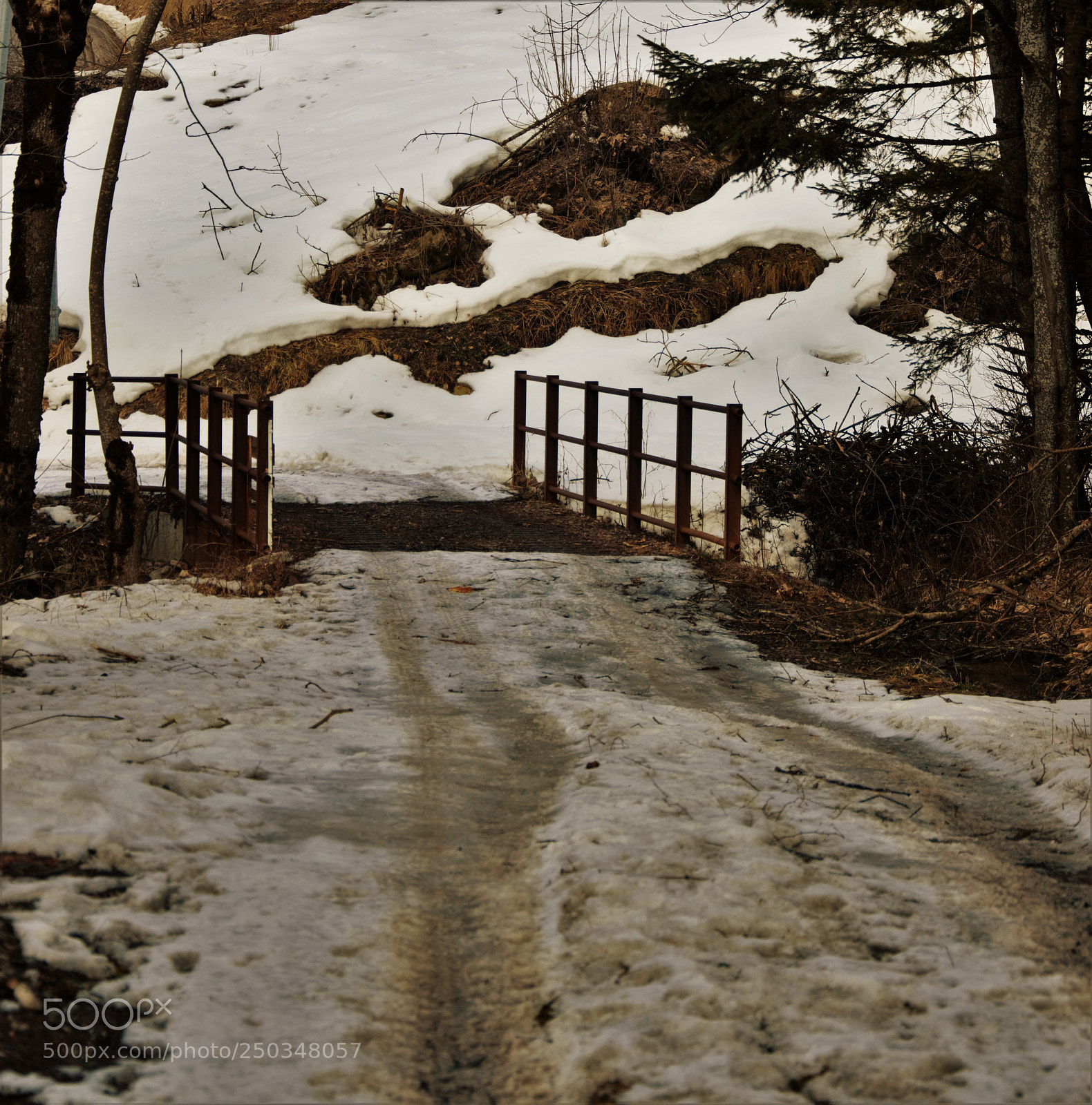 Nikon D3200 sample photo. Untitled photography