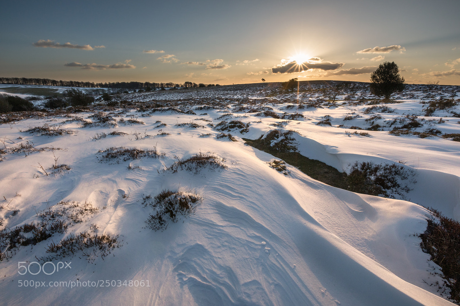 Canon EOS 5D Mark IV sample photo. Quantocks in the snow photography