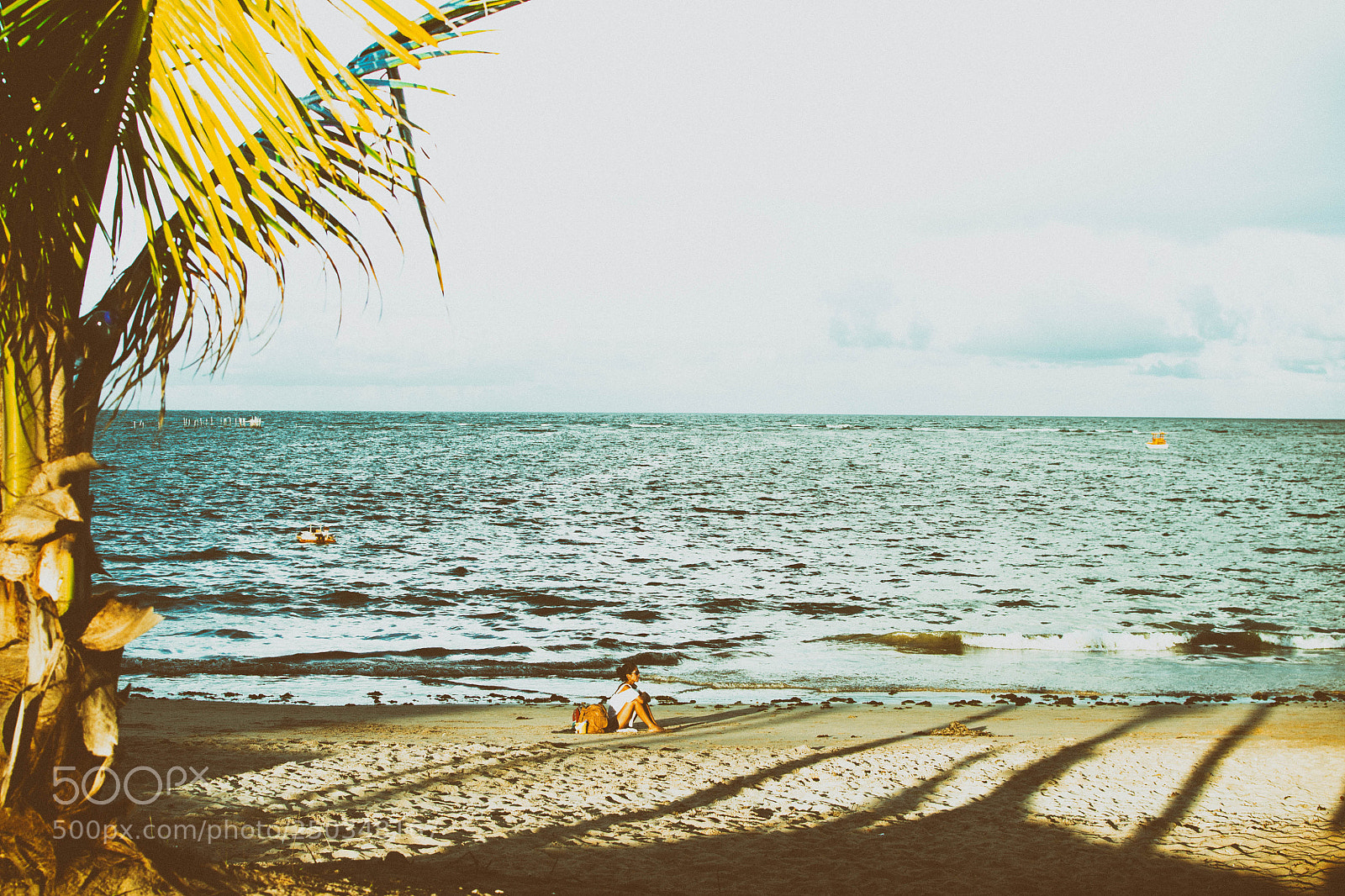 Nikon D3100 sample photo. Untitled photography