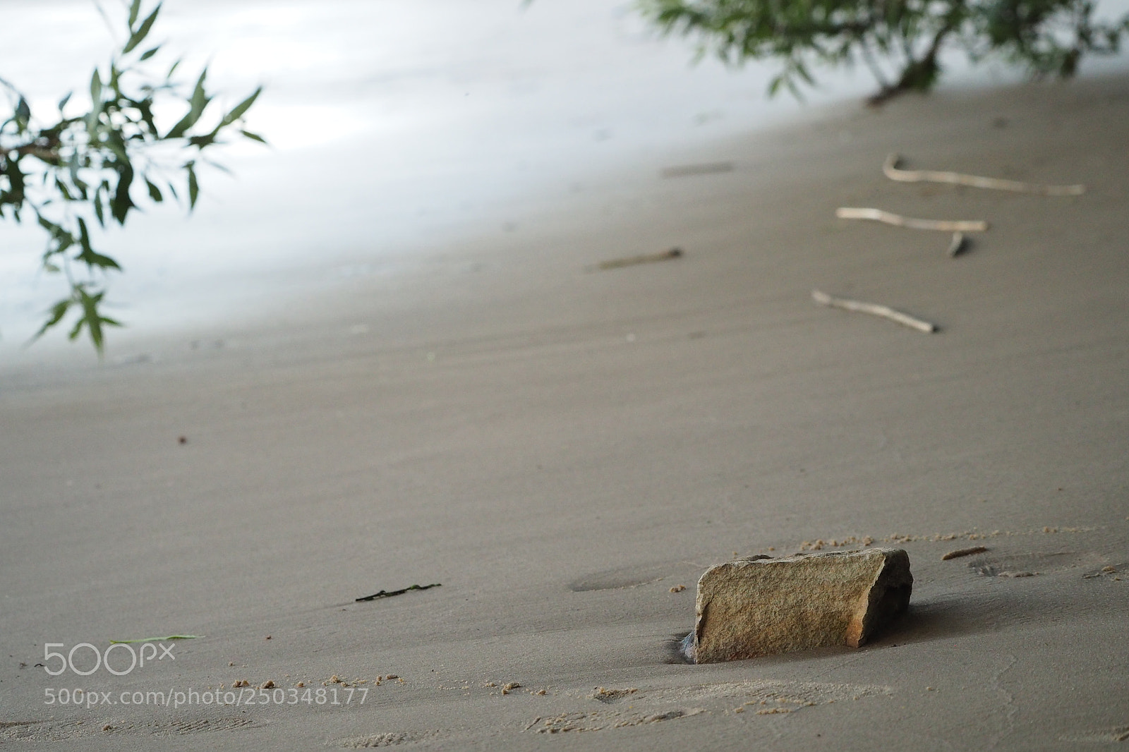 Olympus OM-D E-M10 II sample photo. Am weserstrand photography
