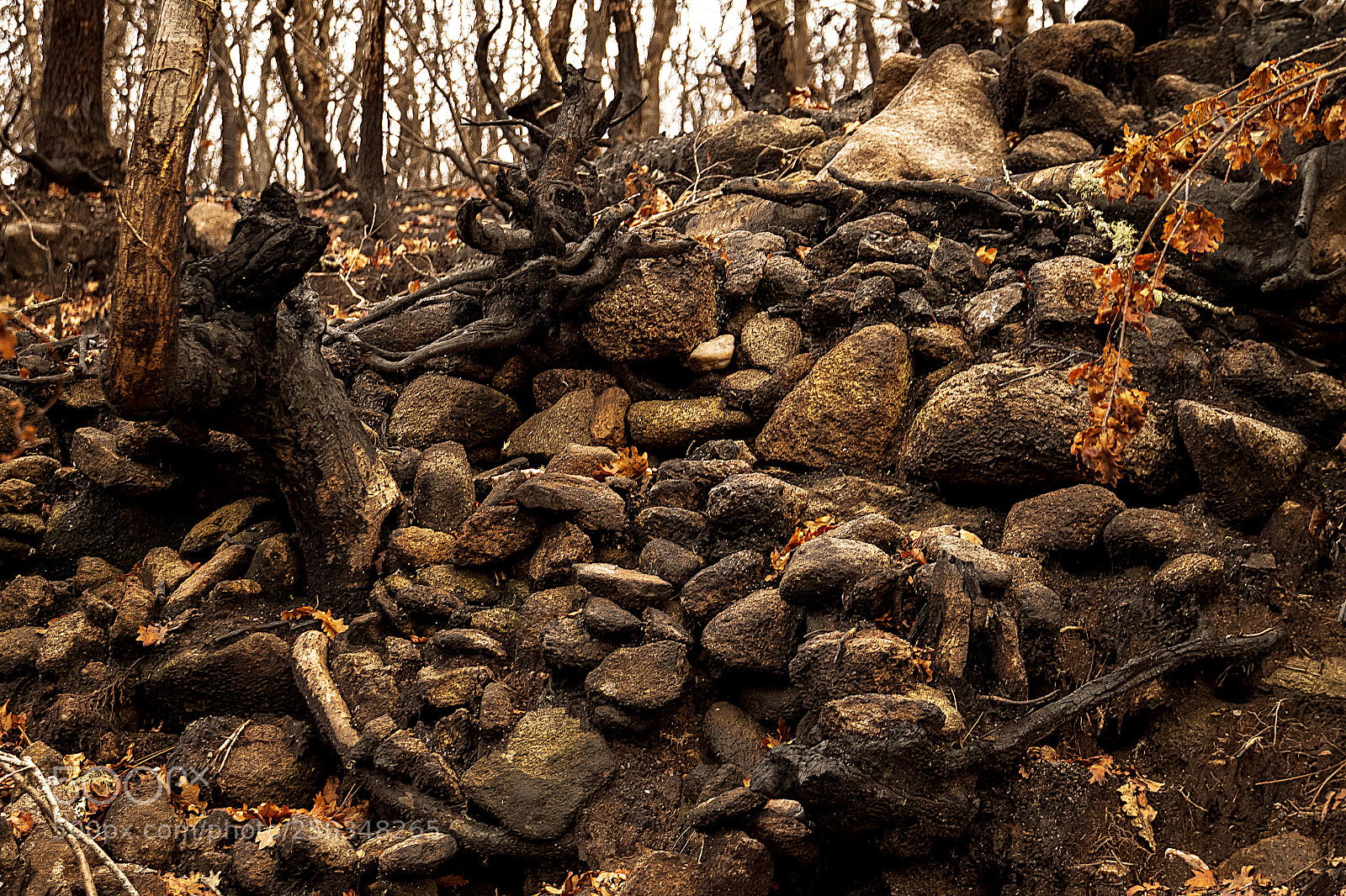 Canon EOS 500D (EOS Rebel T1i / EOS Kiss X3) sample photo. Burnt stones. photography
