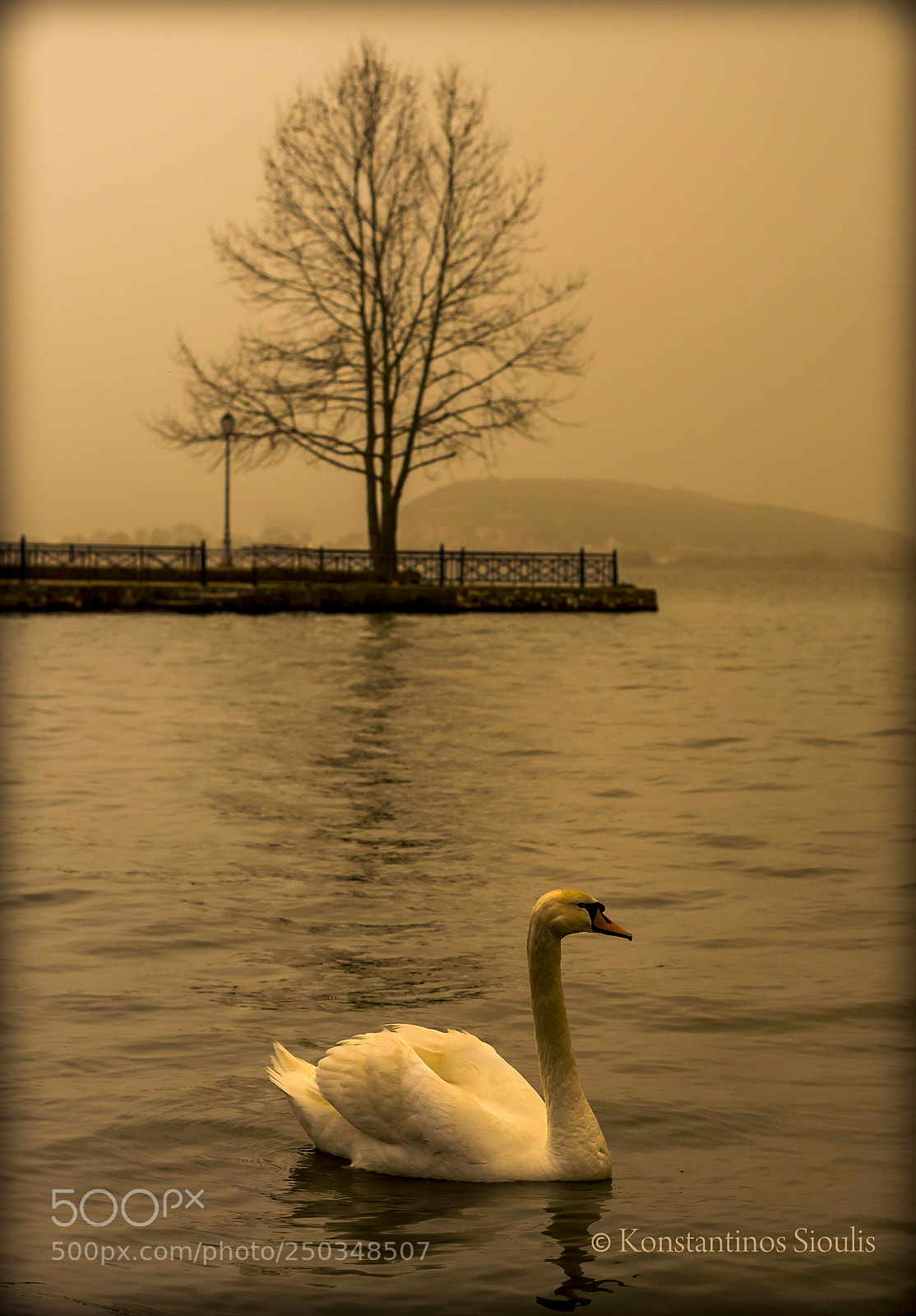 Nikon D3200 sample photo. Untitled photography