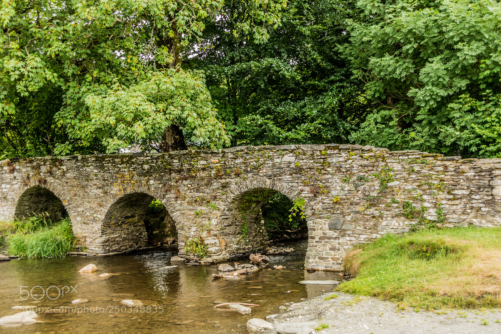 Nikon D7200 sample photo. Small bridge photography