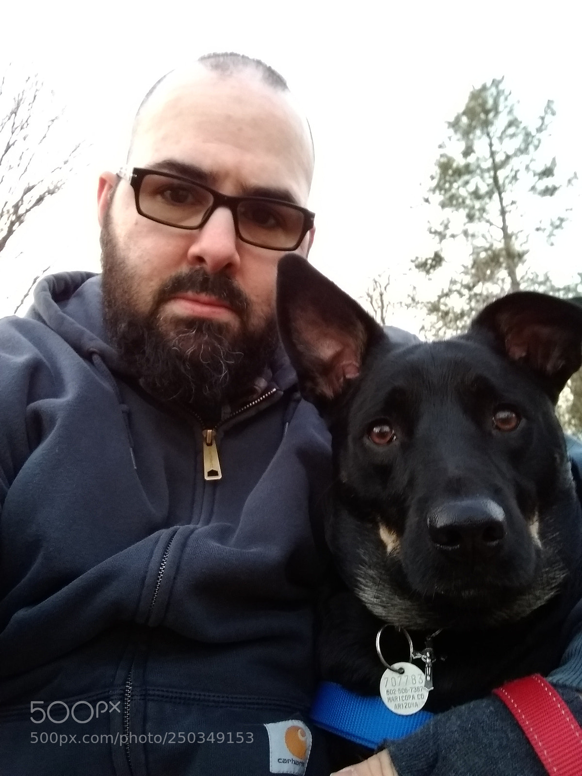Motorola Moto E4 sample photo. Img_20180218_173608979.jpg photography