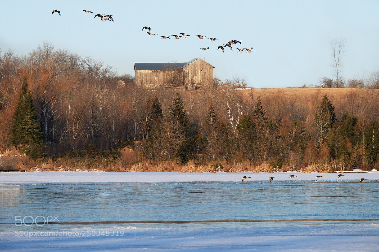 Fujifilm X-T10 sample photo. Geese over the lake photography