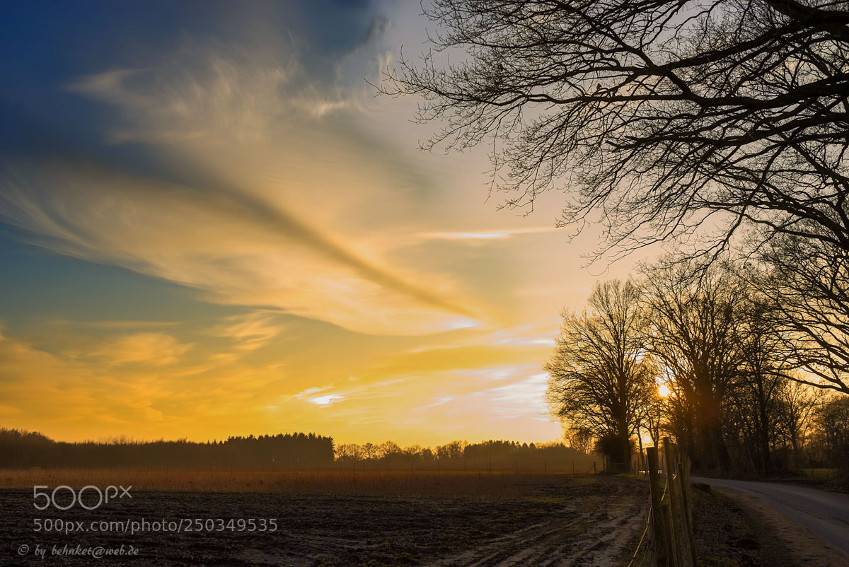 Sony a7 II sample photo. Heidkampsweg photography
