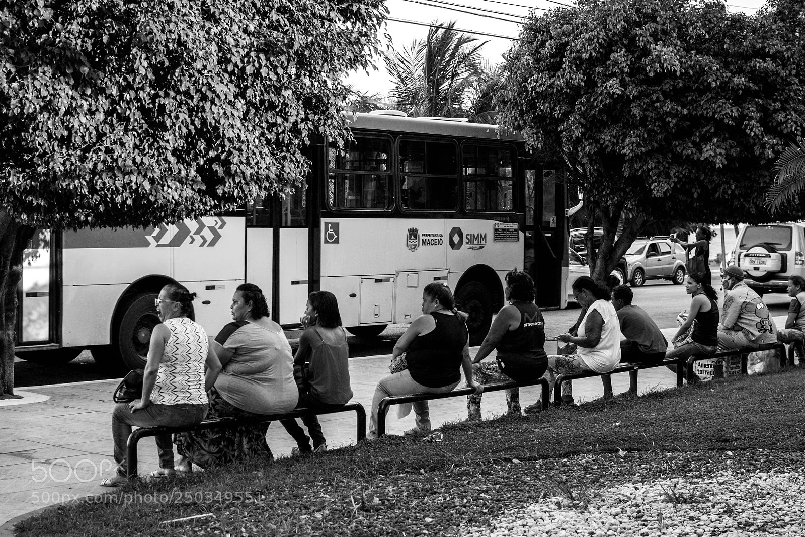Nikon D3100 sample photo. Untitled photography