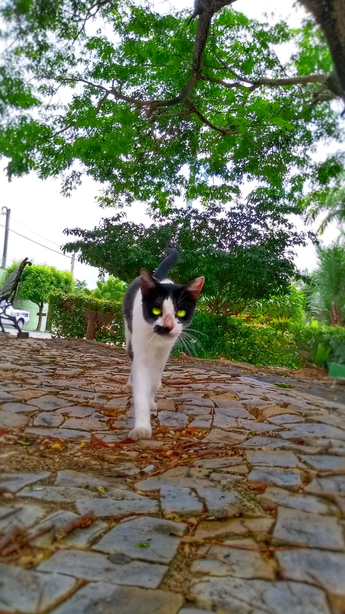 Motorola Moto G (5S) sample photo
