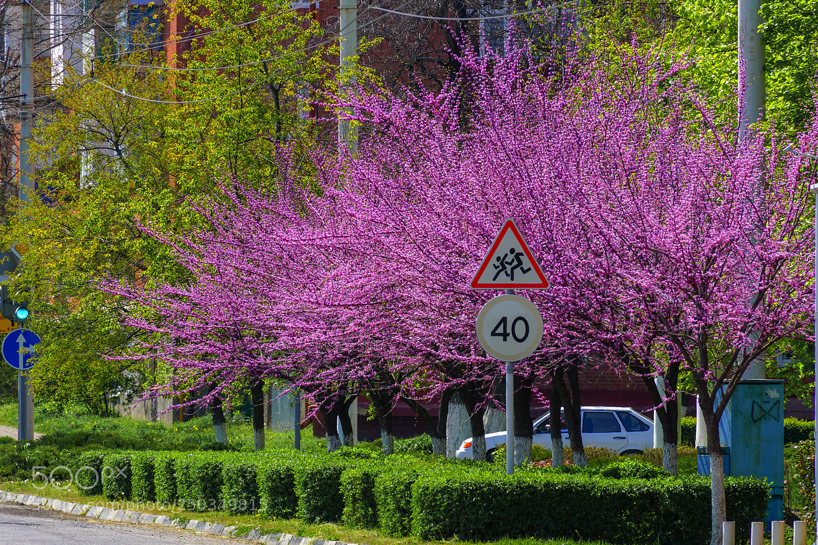 Sony ILCA-77M2 sample photo. On city streets beautiful photography