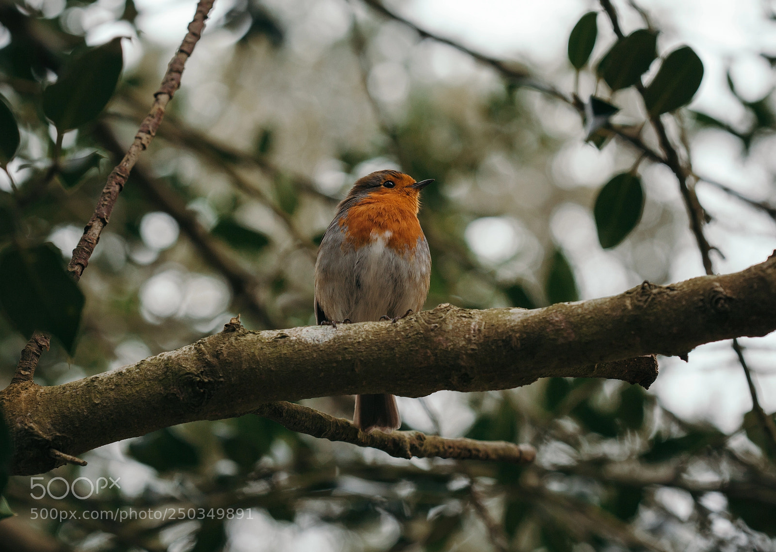 Canon EOS 5D Mark II sample photo. Mg photography