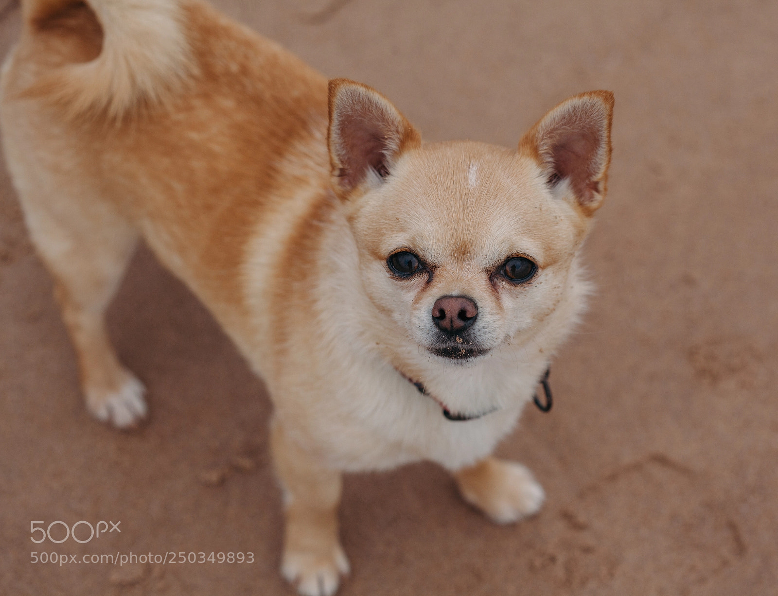 Canon EOS 5D Mark II sample photo. Mg photography