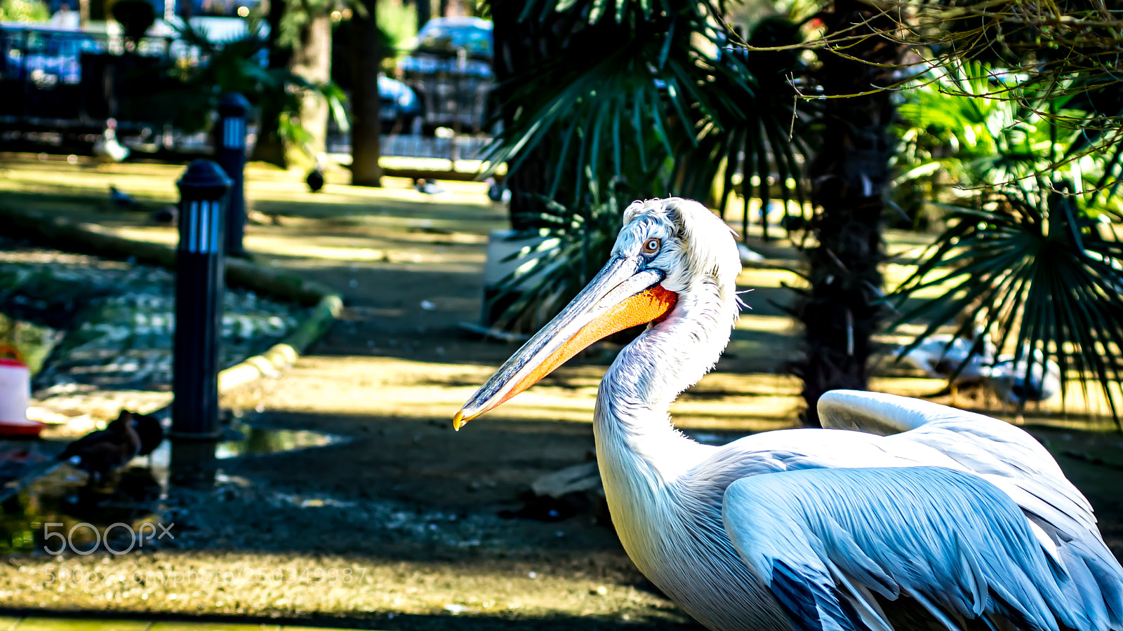 Sony a6000 sample photo. Dsc photography