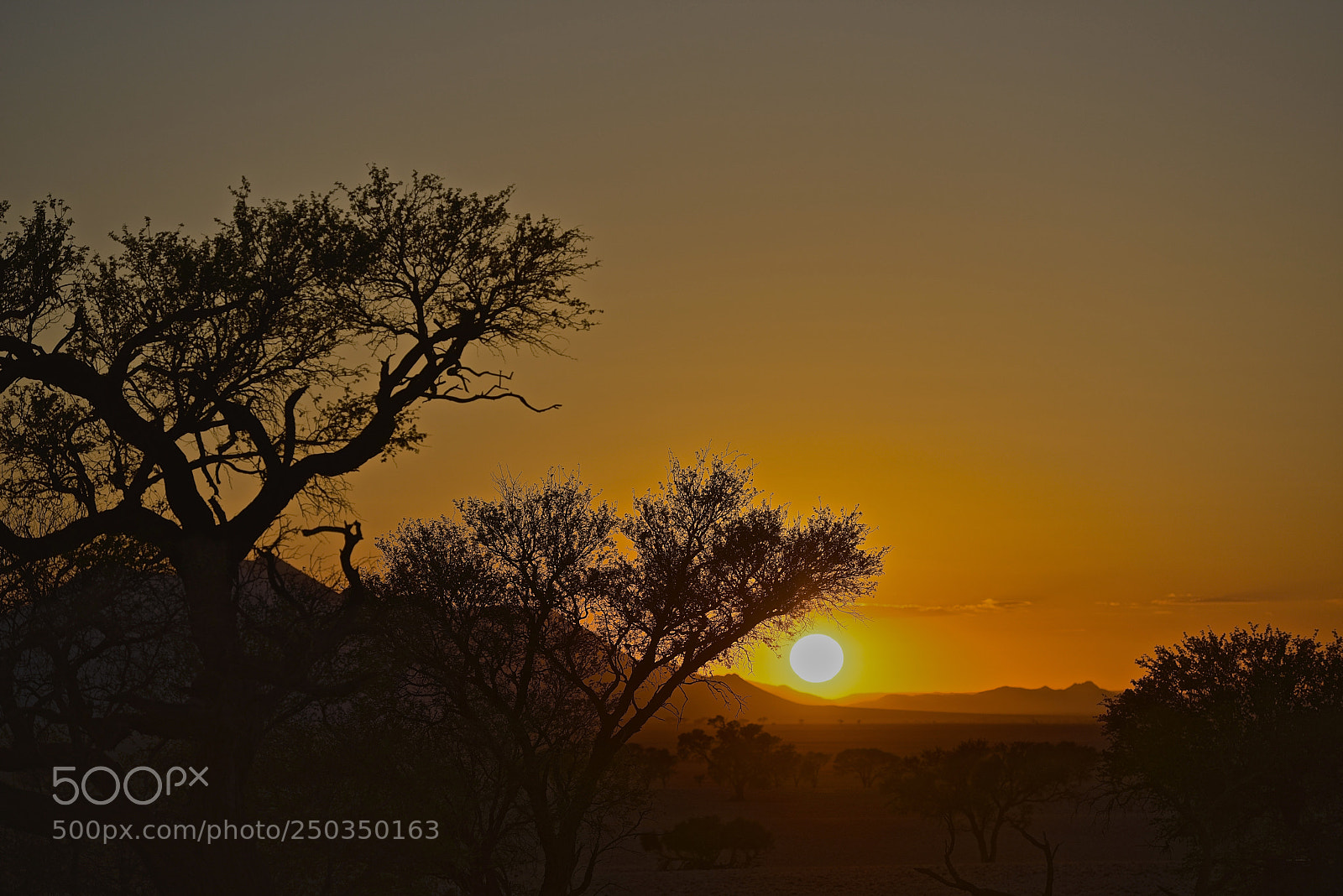 Nikon D800 sample photo. Sun set photography