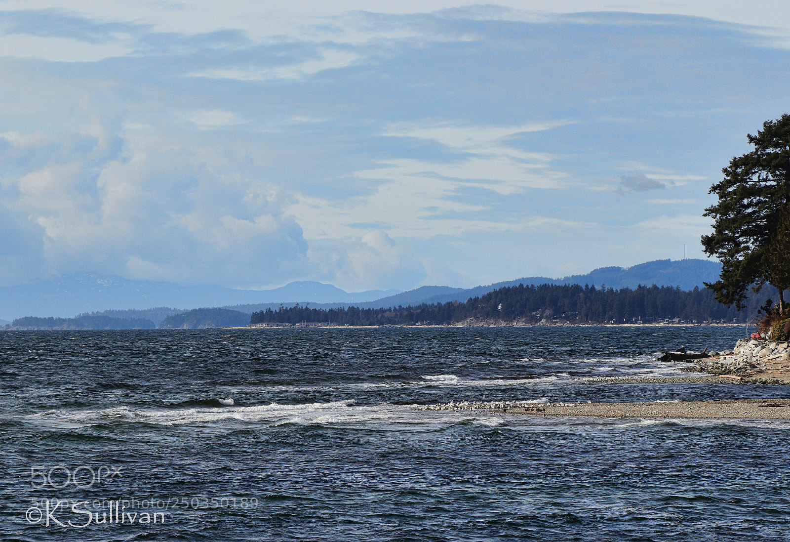Canon EOS 77D (EOS 9000D / EOS 770D) sample photo. Winter blues photography