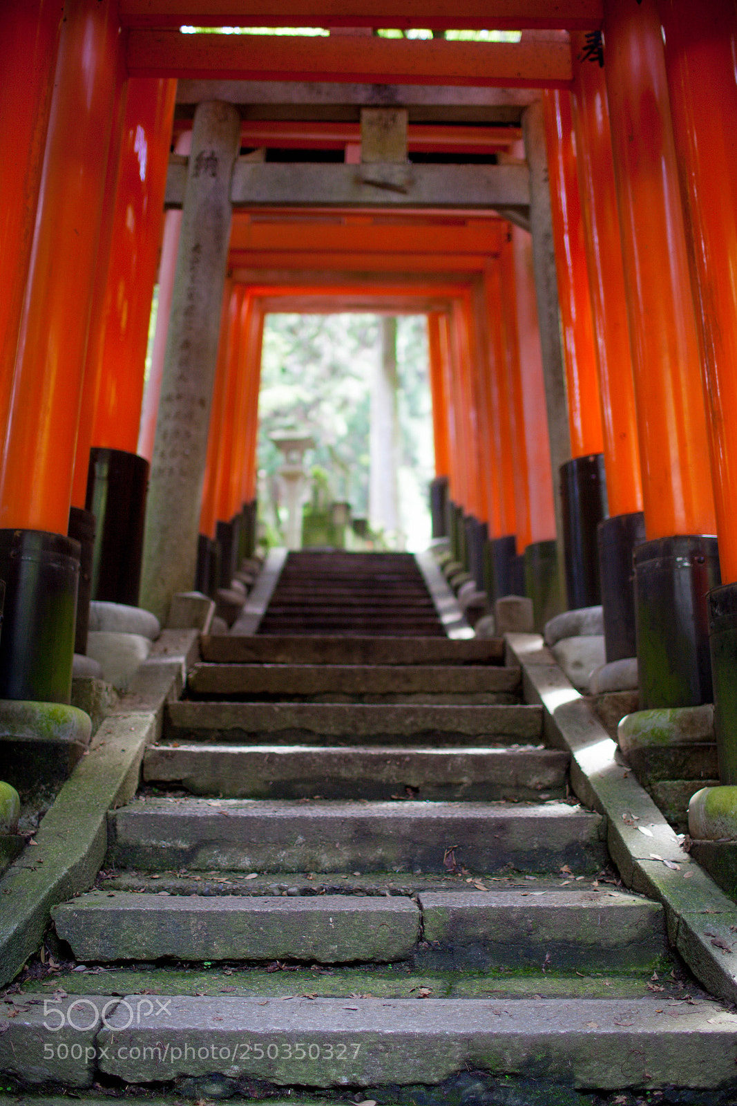 Canon EOS 5D Mark II sample photo. Fushimi inari shrine , kyoto photography