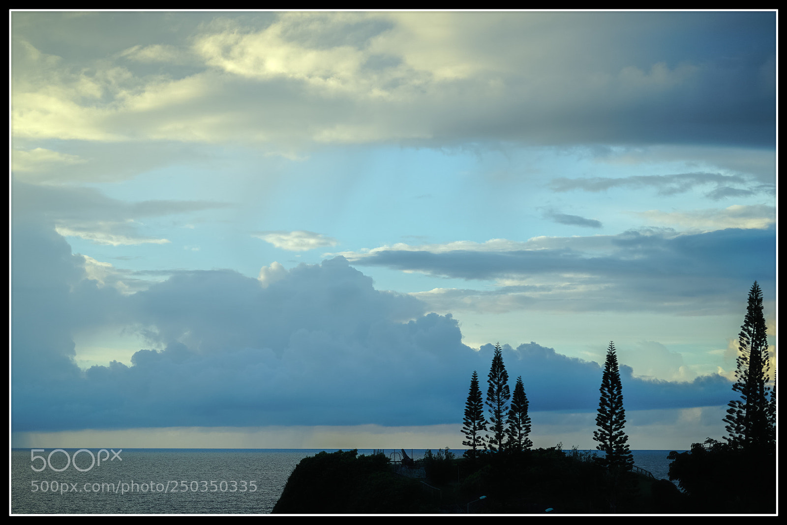 Sony a7S sample photo. Morning silhouettes photography