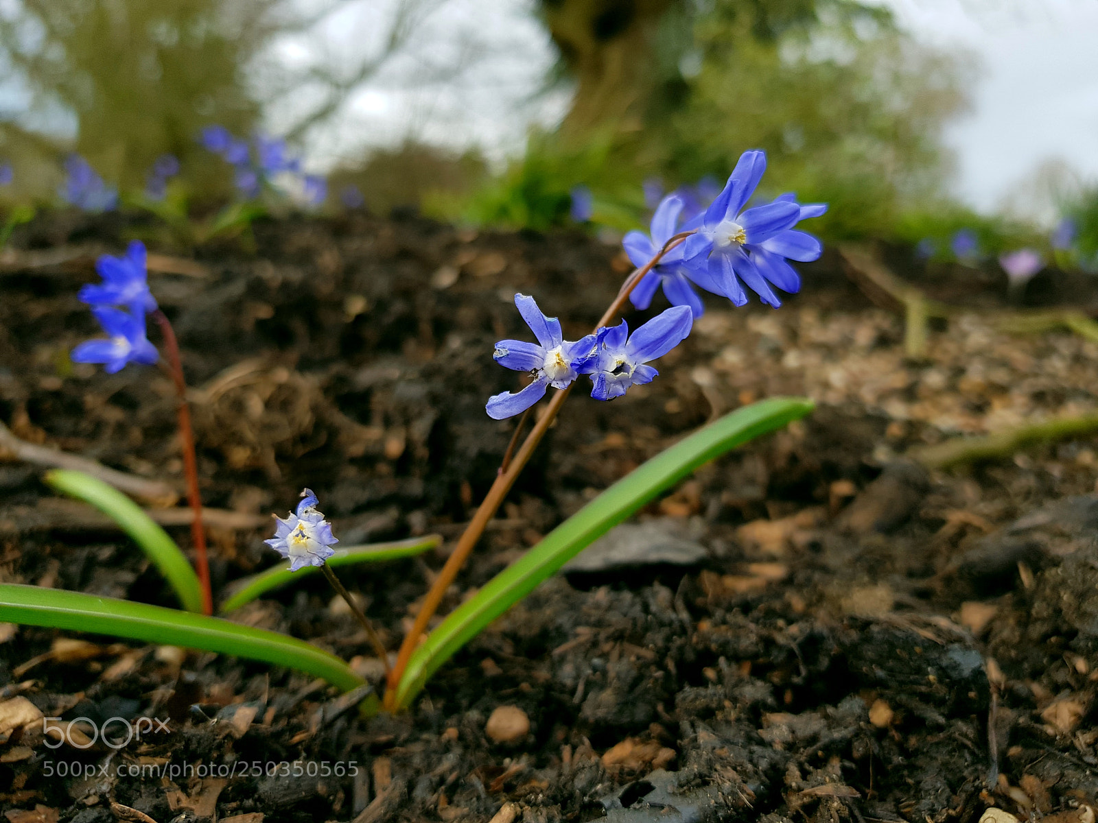 Samsung Galaxy S8 sample photo. Untitled photography