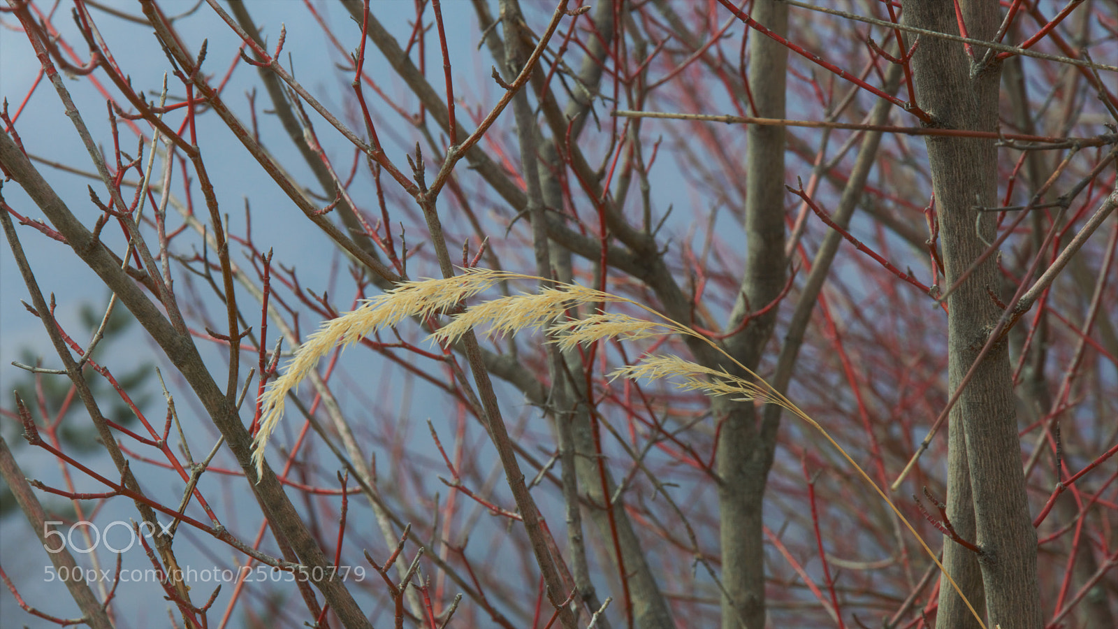 Nikon D3200 sample photo. Untitled photography