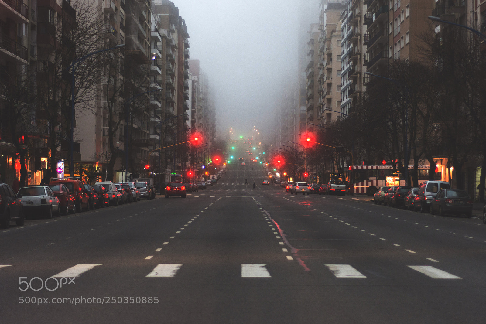 Nikon D7200 sample photo. Colón ave. photography