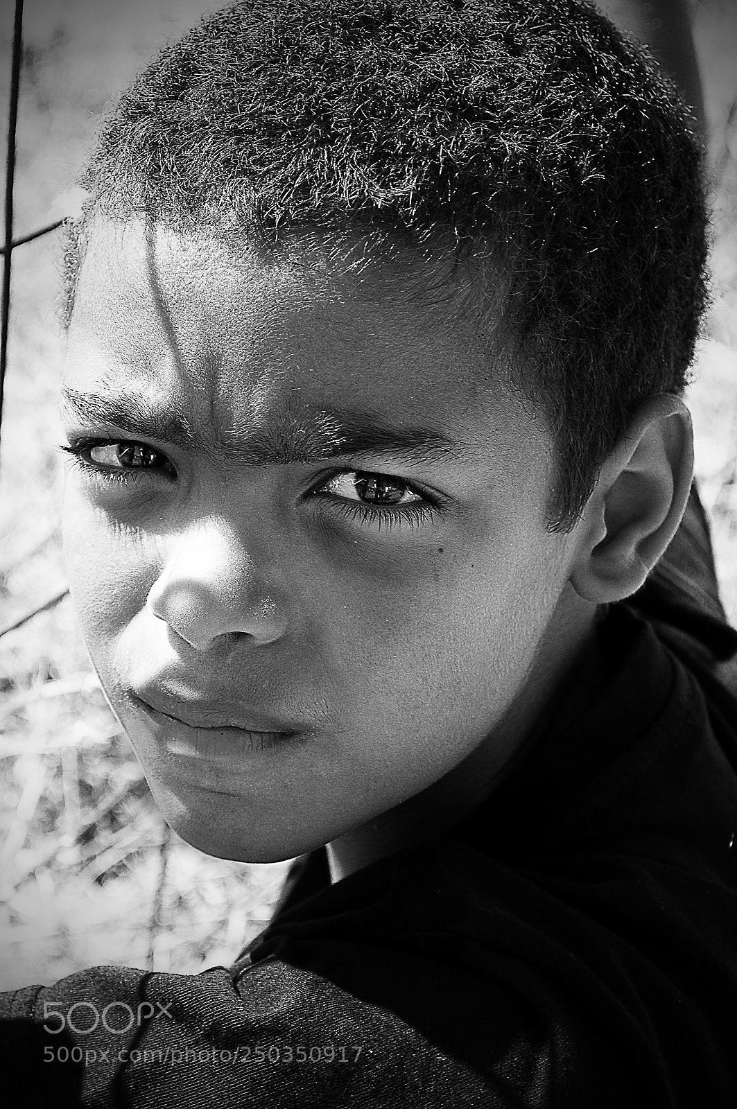 Nikon D90 sample photo. Victim photography