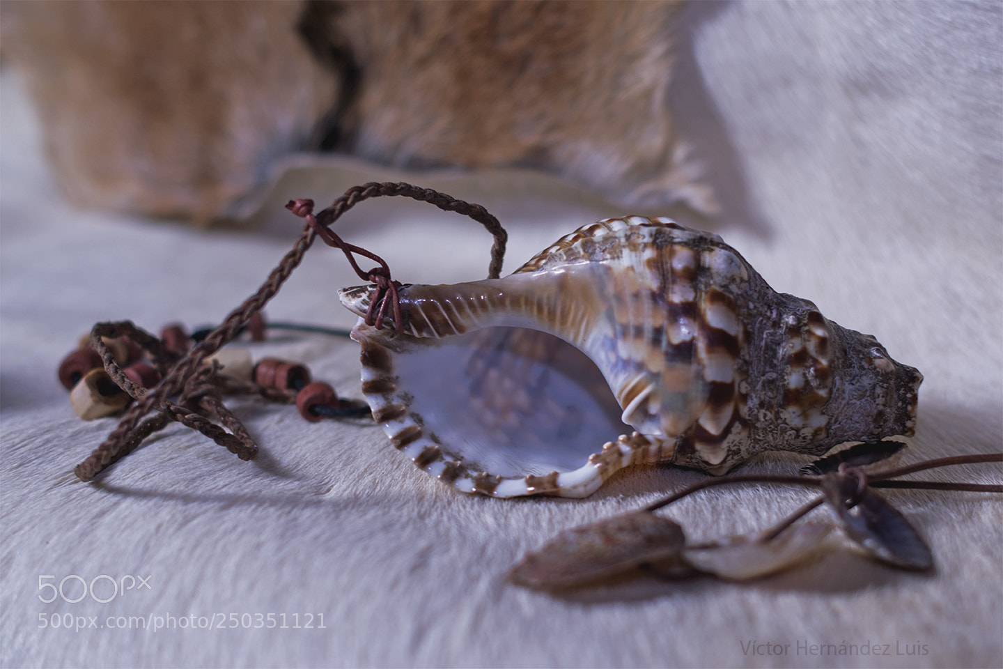 Nikon D3300 sample photo. Caracola photography