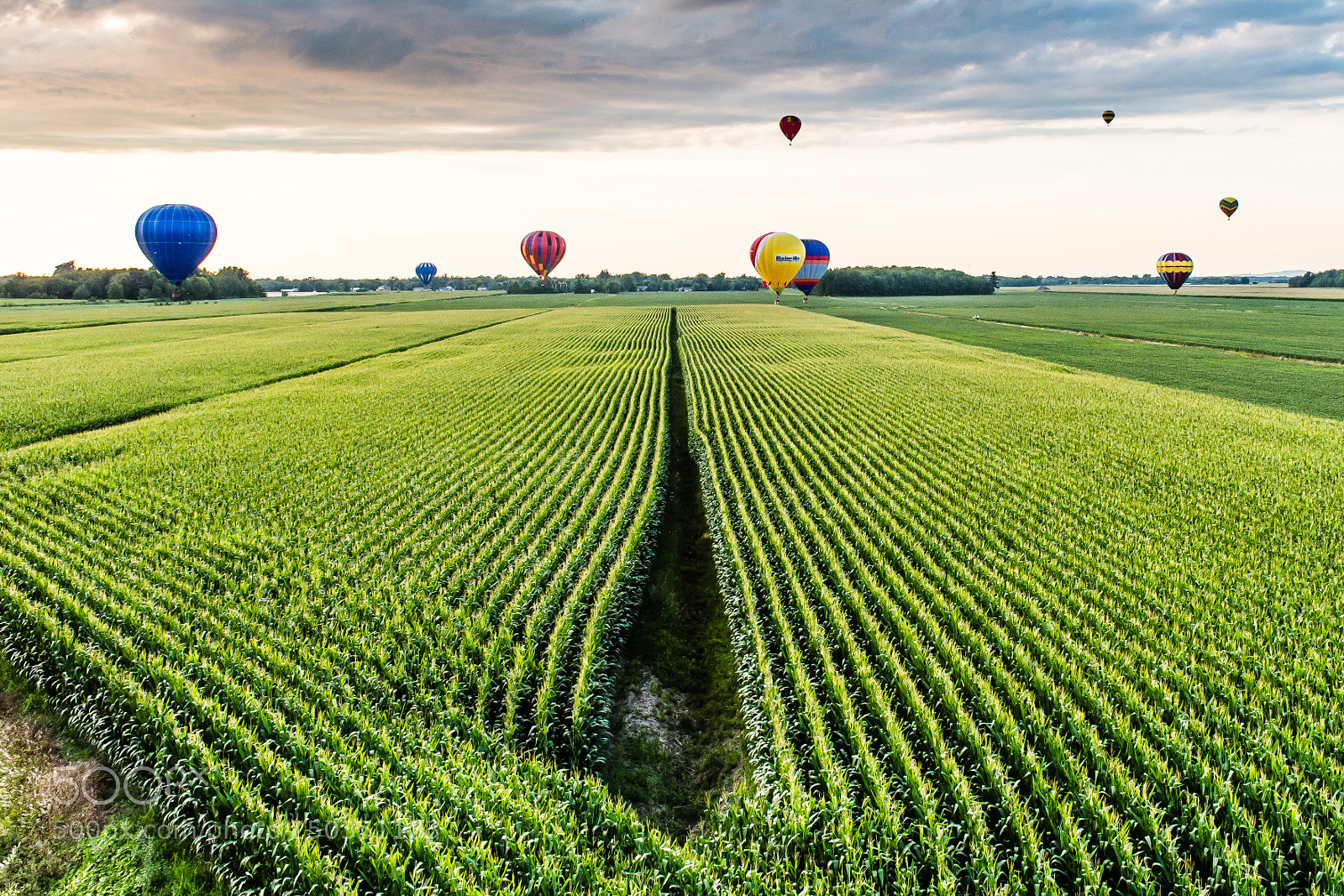 Nikon D4 sample photo. Balloons landing photography
