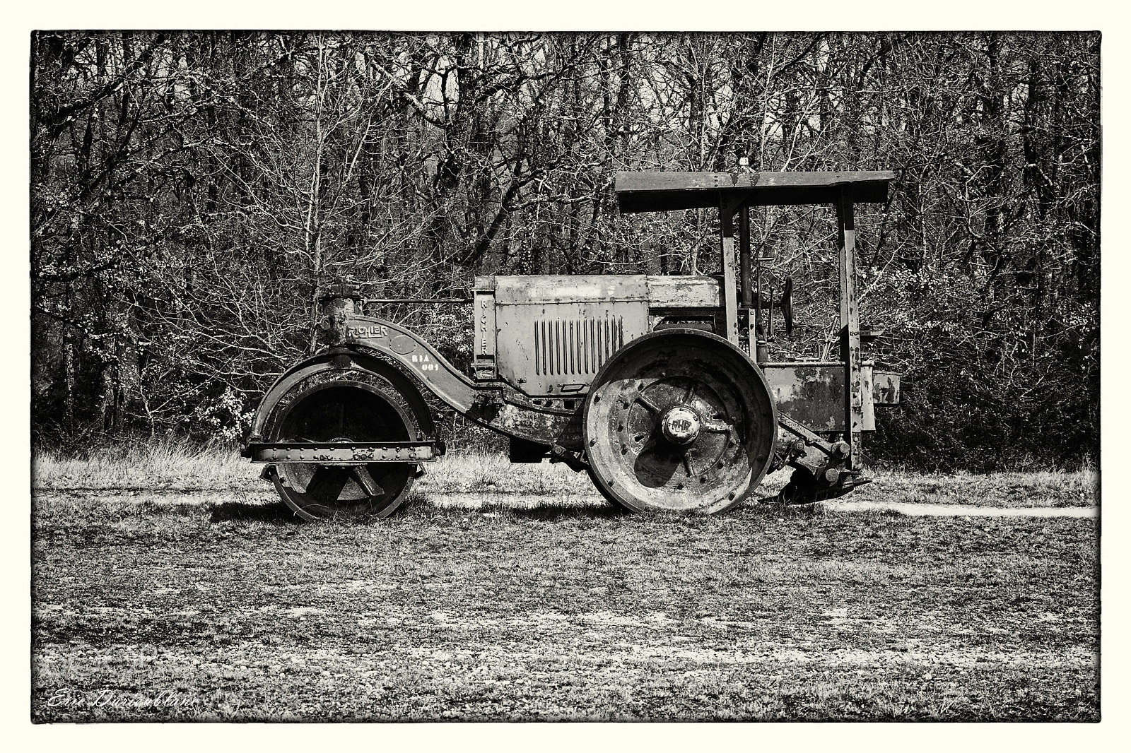 Canon EOS-1D Mark II sample photo. Untitled photography