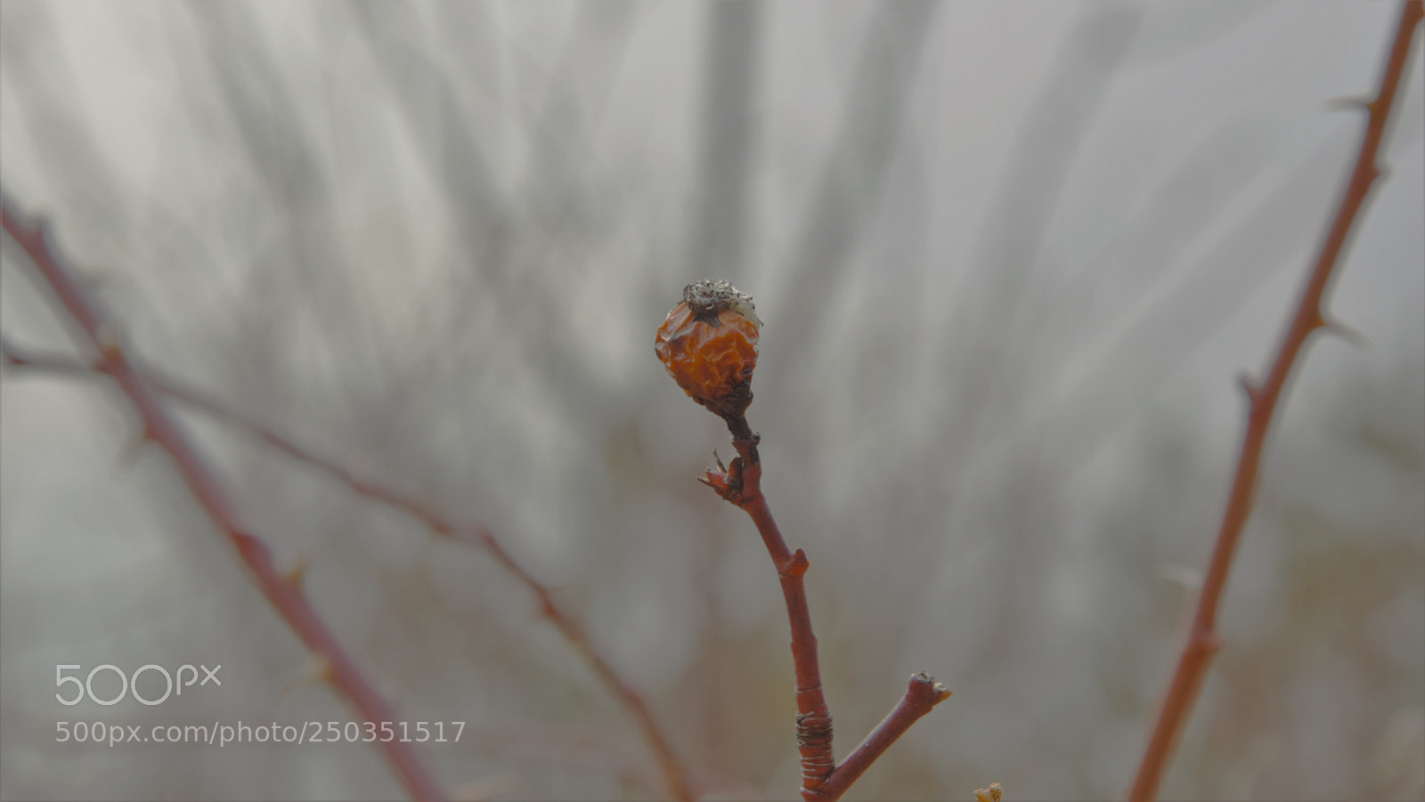 Nikon D3200 sample photo. Untitled photography