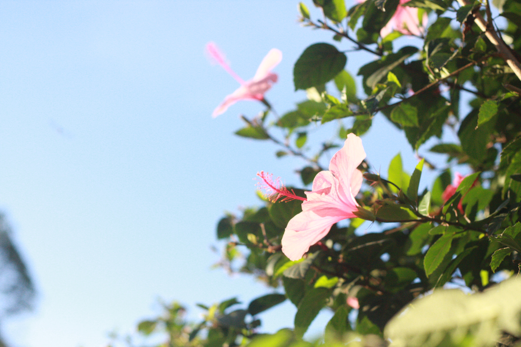 Canon EOS 40D + Canon EF 50mm F1.8 II sample photo. Basking in the sun photography