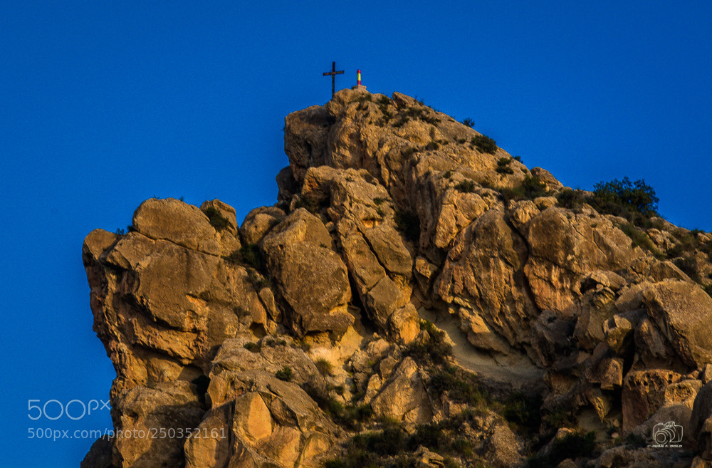 Nikon D7100 sample photo. Untitled photography