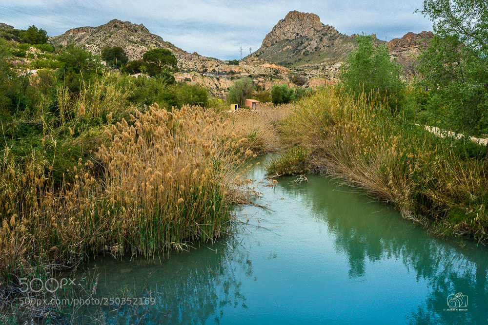Nikon D7100 sample photo. Untitled photography