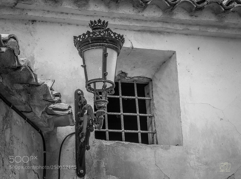 Nikon D7100 sample photo. Untitled photography